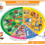 Supplements for a Balanced Diet: The Essential Overview