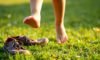 Orthopedic Benefits of Barefoot Footwear for Children