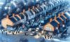House Clearance Costs: Essential Tips for Negotiating in the UK