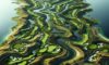 Golfing Destination: Explore Bellville Golf Club Today