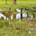 Stormwater Drain Solutions: Causes Explained for Wollongong