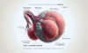 Testicular Cancer Self-Exams: Essential Tips for Detection