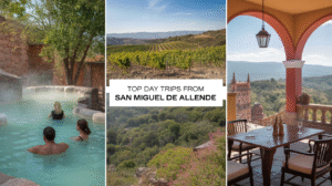 Hot Springs and Vineyards Near San Miguel de Allende