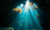 Belize Diving: Discover Spectacular Underwater Wonders