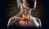 Thyroid Blood Test: Fast and Trusted Service in Aylesbury