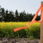 Subdivision Surveys: Essential Guide for Clyde North Residents