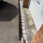 Termite Protection: Discover Coverage Options for Your Home