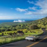 Maui Upcountry Adventure: Discover Scenic Routes and Hidden Gems