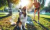 Trick Training for Dogs: Engaging Methods for Smart Pooches