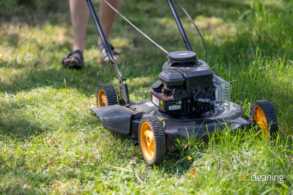 Grass Cutting Services: Expert Tips for Ilchester Residents