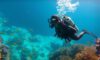 Belize Diving Guide: Essential Tips for the Big Blue Hole