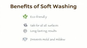 Soft Wash Housewashing Services in Chester Springs Offered