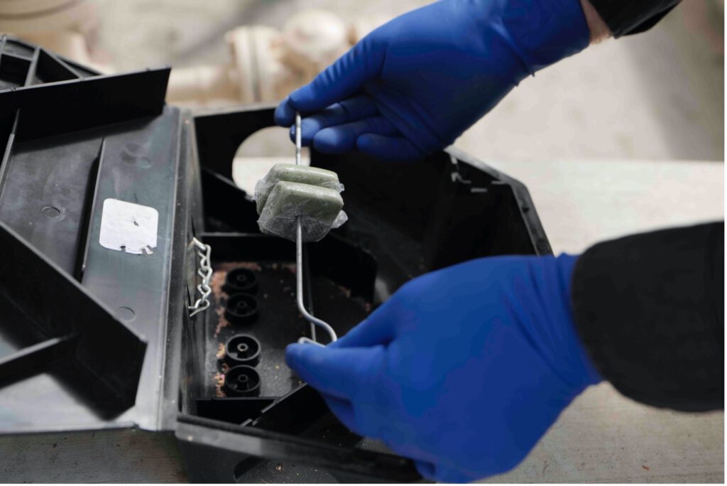 Rat Bait Laws in Australia: Essential Updates to Note