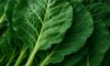 Collard Greens Recipe: A Wholesome Slow-Cooked Dinner