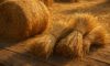 Hay and Straw: Creative Cooking Ideas for Fresh Recipes