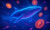 Whale Wallet Monitoring Techniques for Effective Tracking