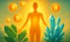 Clean Energy Supplements for Enhanced Vitality and Performance