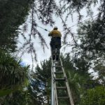 Electrical Defect Notice Response for the Mid North Coast